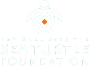 save the sea turtles