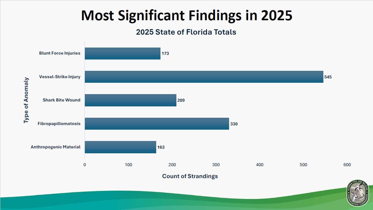 Anthropogenic Material Slide_FWC 1