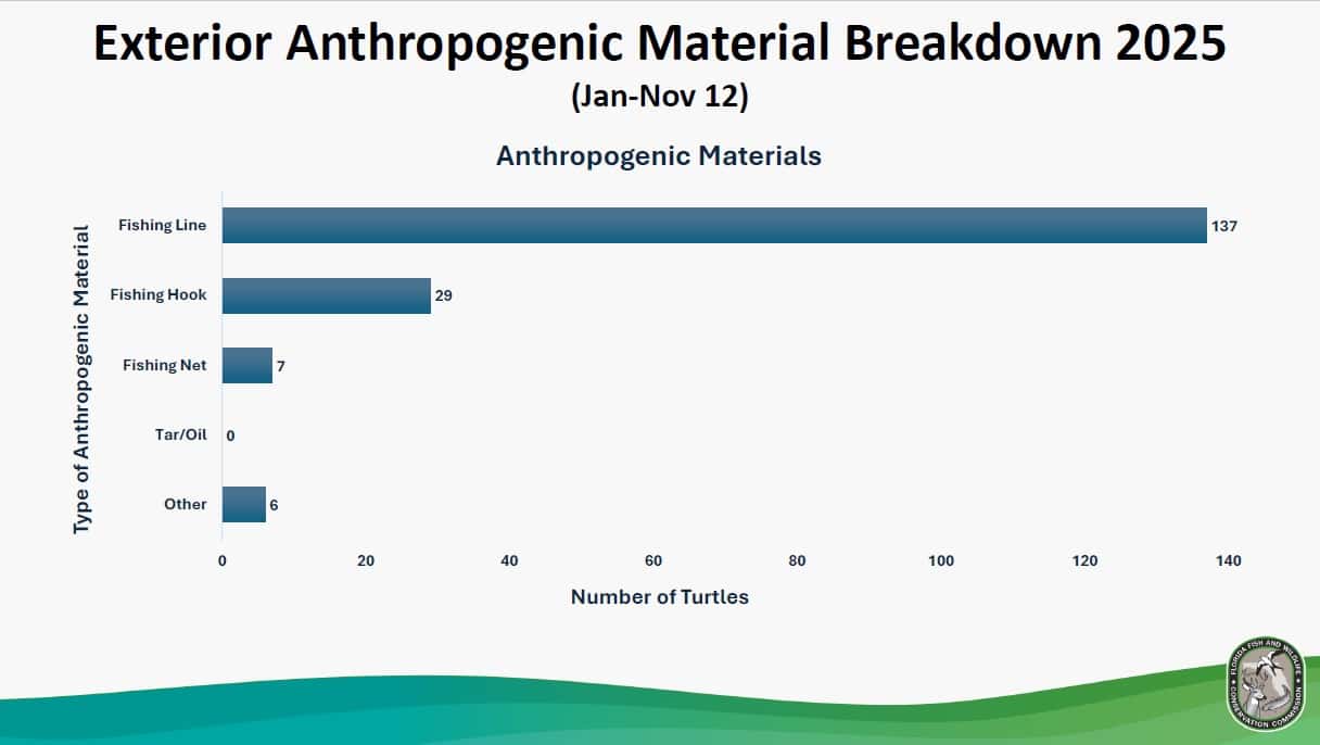 Anthropogenic Material Slide_FWC 2