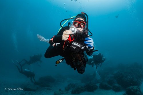Patrick Pyles_20250425 Reef Clean Up 5